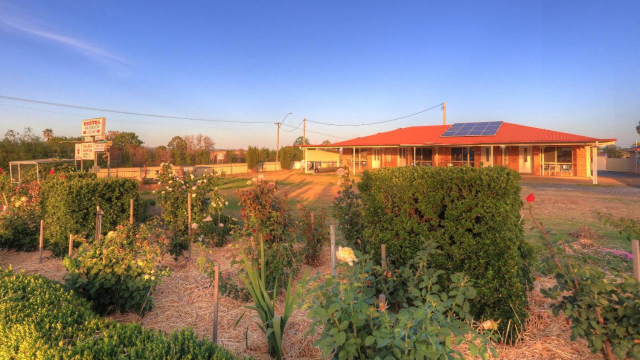 Golfers Inn Tenterfield Bagian luar foto