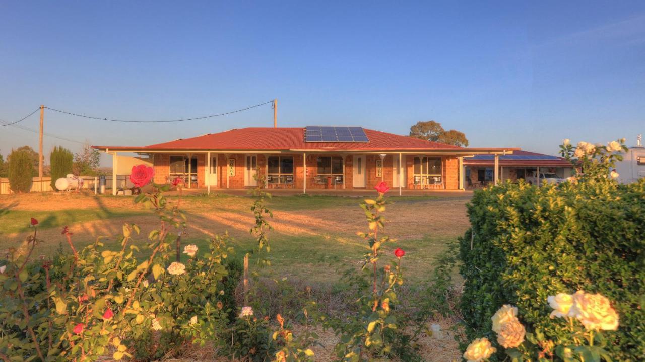 Golfers Inn Tenterfield Bagian luar foto